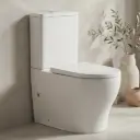 615*370*835mm Back To Wall Toilet Suite With Slim Uf Seat Cover And Universal Inlet Cistern T2