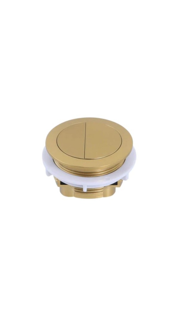 [50359] BTW Cistern Brushed Gold Round Button