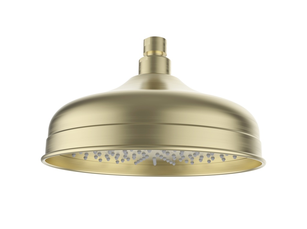 [44368] Clasico Shower Head In Brushed Gold