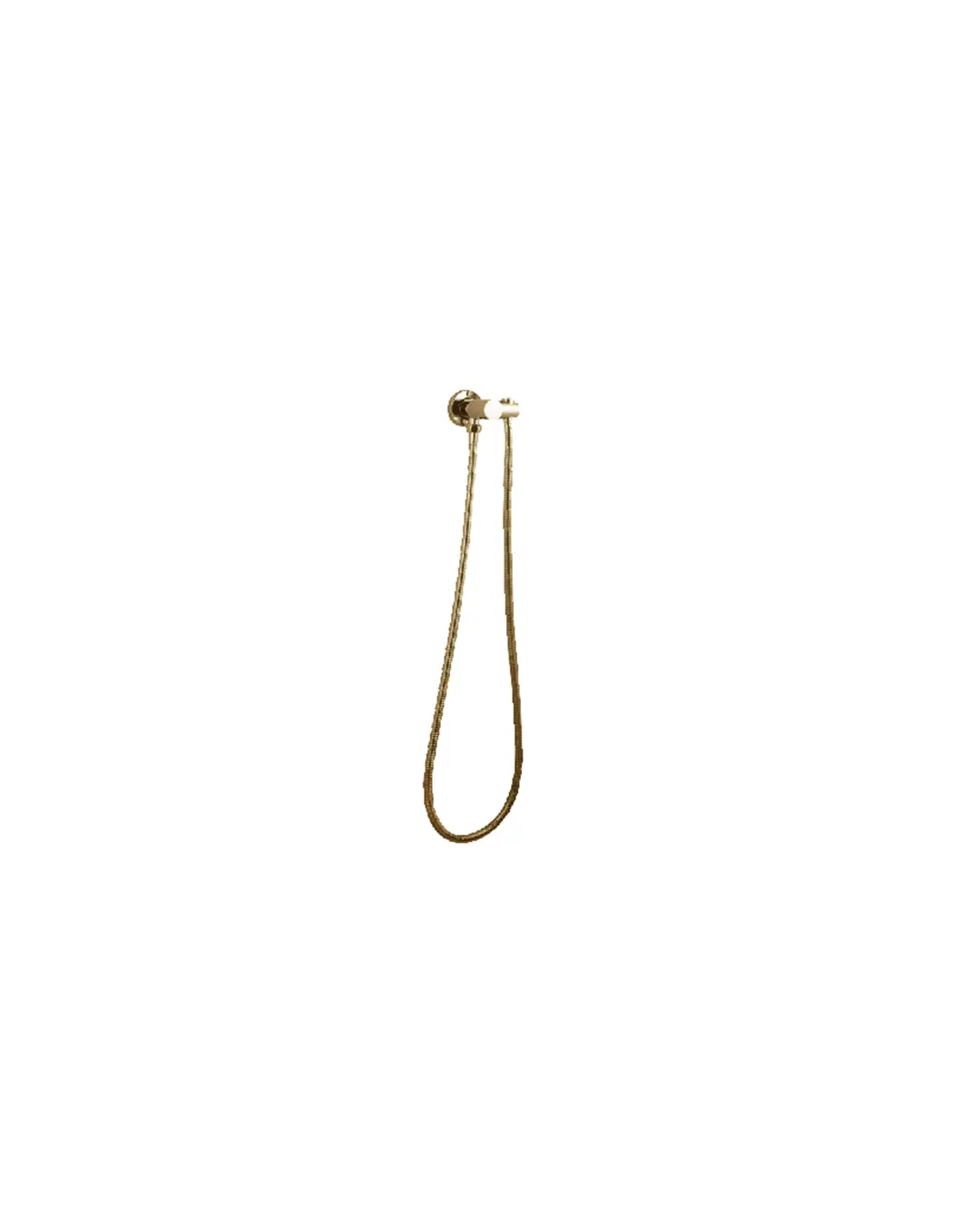 Pentro Brushed Yellow Gold Shower Holder & Connector