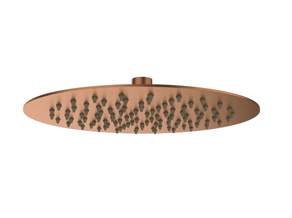 [55091] Round Rain Shower Head 250mm Brushed Bronze